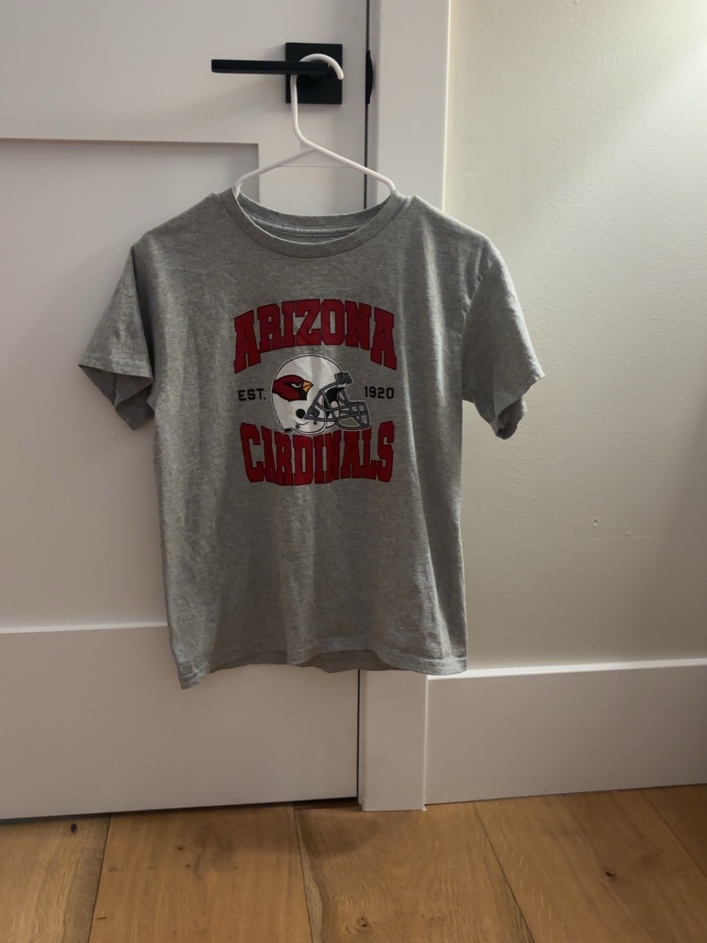 Amazon Kids Arizona Cardinals Short-Sleeve Tee in Gray and Red